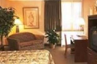 Extended Stay America Suites - Dallas - Las Colinas - Green Park Dr Irving Room photo